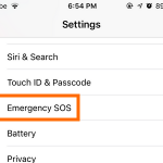 iPhone Settings Emergency SOS