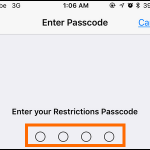 iPhone Settings General Restrictions Passcode