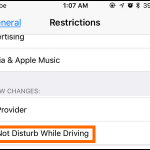 iPhone Settings General Restrictions Passcode DNDWD