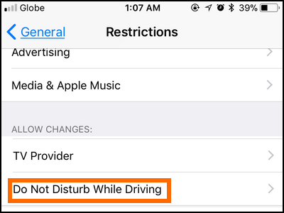 iPhone Settings General Restrictions Passcode DNDWD