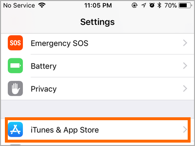 iPhone Settings iTunes and App Store