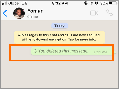 iPhone Whatsapp Delete Success