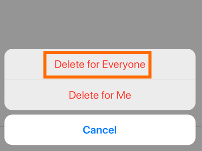 iPhone Whatsapp Delete for Everyone