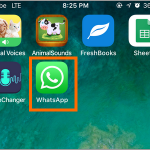 iPhone Whatsapp icon