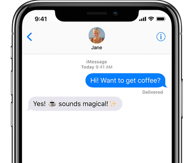 iPhone X Message Conversation