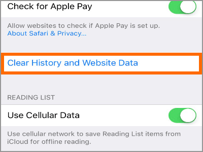 iPhone Clear Browsing History