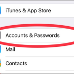 iPhone Settings Accounts and password