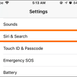 iPhone Settings Siri & Search
