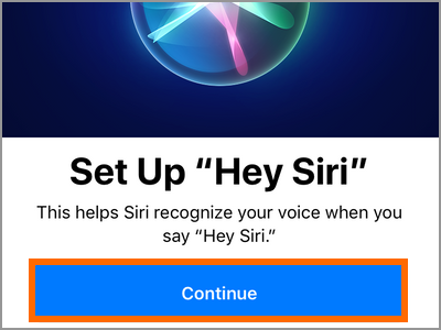 iPhone Settings Siri & Search Continue