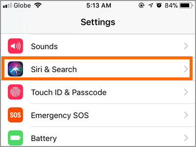 iPhone Settings Siri & Search