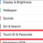 iPhone Settings Touch ID & Passcode
