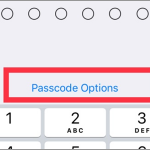 iPhone Settings Touch ID & Passcode Change Passcode Options