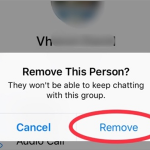 Facebook Messenger Group Chat Members Select Remove From Group Confirm