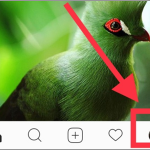 Instagram Account Button