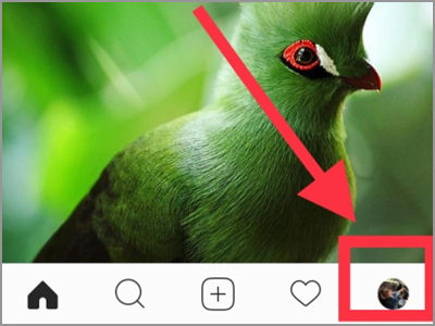Instagram Account Button