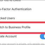 Instagram Account Settings Switch to Business Profile