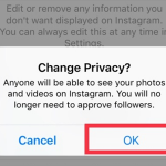 Instagram Account Settings Switch to Business Profile Connect to Facebook Private Account Change Privacy