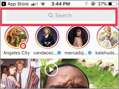 Instagram Search Box