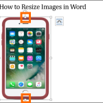 Resize Word Image Selected top and bottom handle