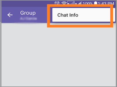 Viber Group Chat info