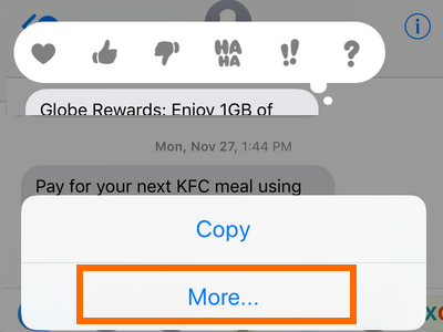 iPhone Messages Message Thread Press and Hold on a Message More