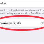 iPhone Settings Call Audio Routing Auto Answer Calls