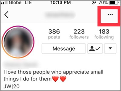 Instagram Profile Followers Menu