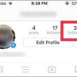 Instagram Profile Following