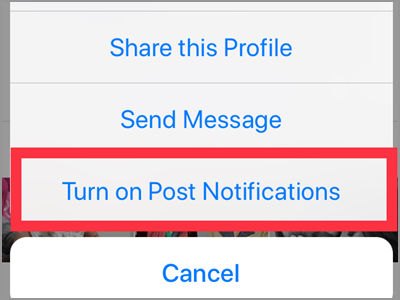 Instagram Profile Following Other Options Button Turn On Post Notifications