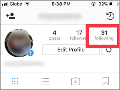 Instagram Profile Following