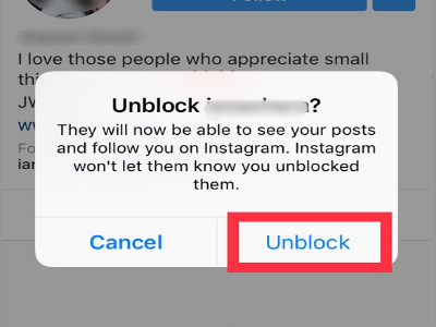 Instagram Unblock Confirmation