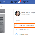PC Facebook Messenger Conversation Searcgh in Conversation