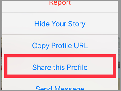 How To Send A Profile As A Message On Instagram
