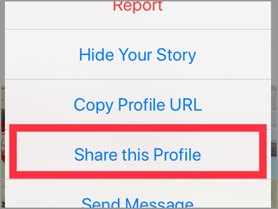 Instagram Following Menu Share This Profile