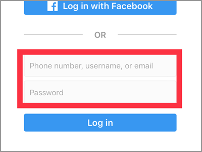 Instagram Username and Password