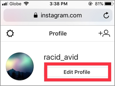 iPhone Home Safari Instagram Edit Profile