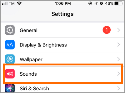 iPhone Settings Sounds Menu