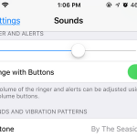 iPhone Settings Sounds Page