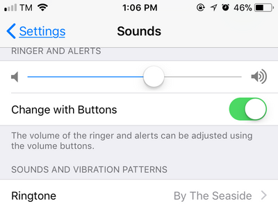 iPhone Settings Sounds Page