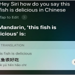 Siri Translate