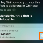 Siri Translate Translation Replay