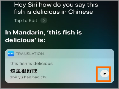 Siri Translate Translation Replay