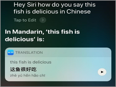 Siri Translate