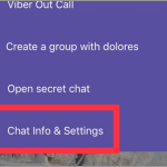 Viber Message Chat Info and Settings iPhone