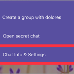 Viber User Chat Info and Settings