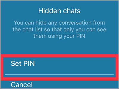 Viber User Chat Info and Settings Hide this Chat Set PIN