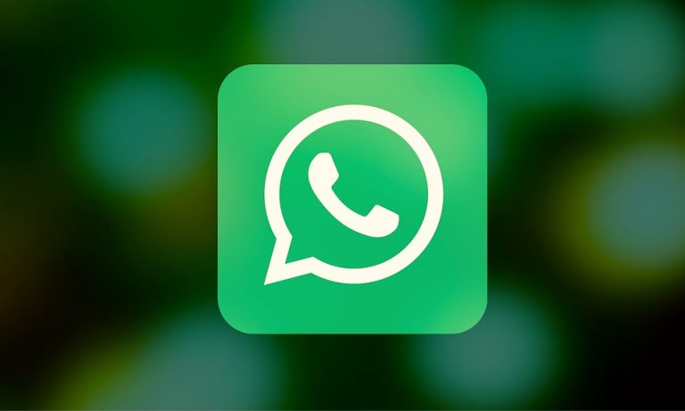 How to Send Gif on Whatsapp[Solved]