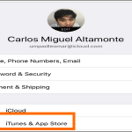 iPhone Settings Apple ID Itunes and App Store