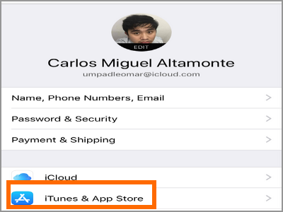 iPhone Settings Apple ID Itunes and App Store