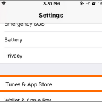 iPhone Settings Itunes and App Store Option